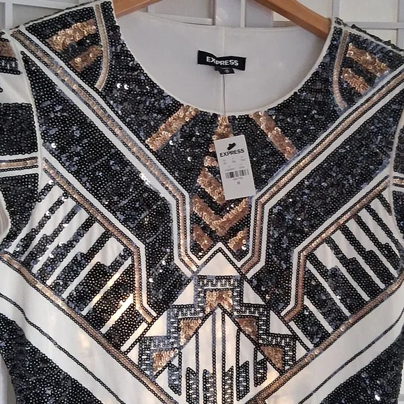 Expresss Sequined Dress